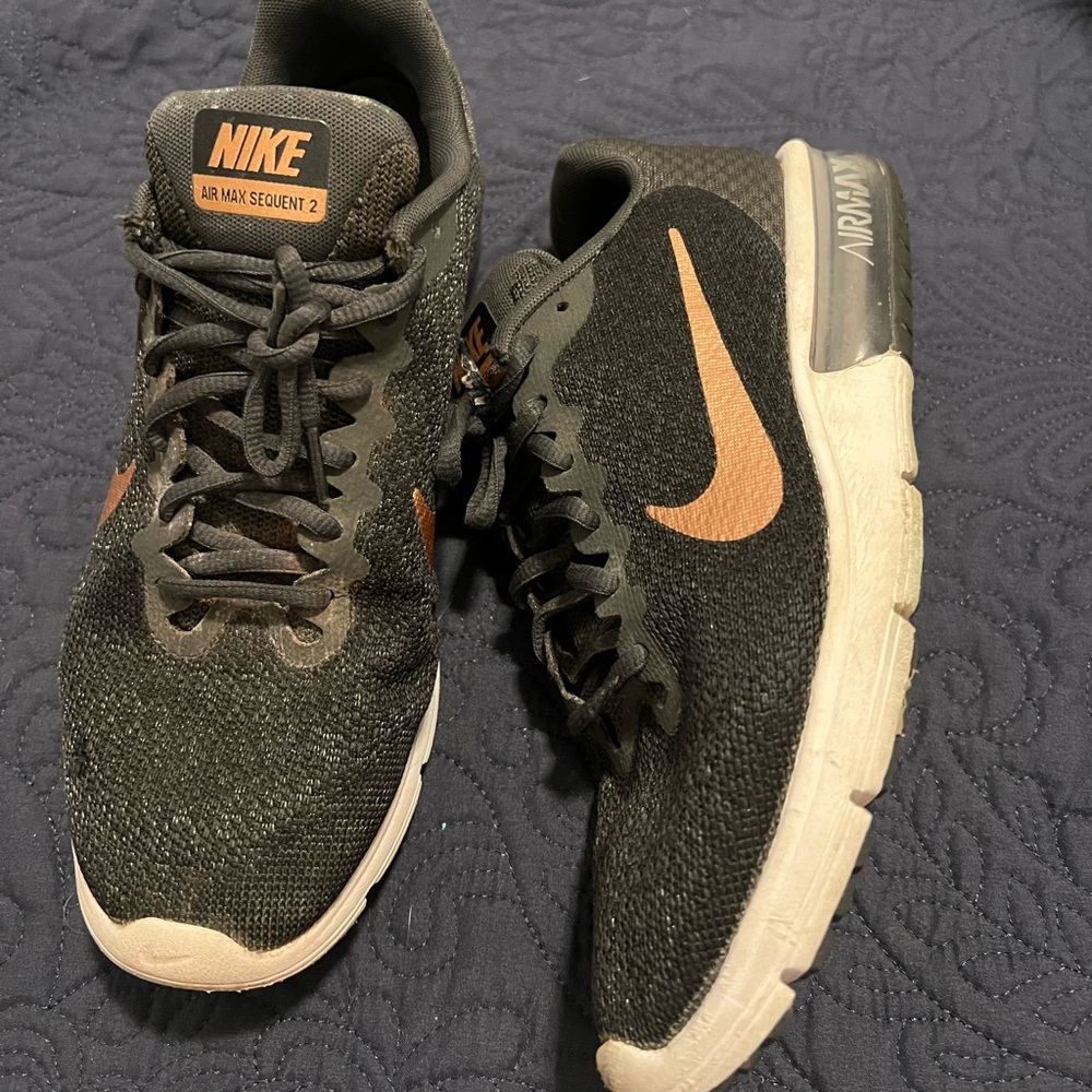 Women Nike Air Max shoes